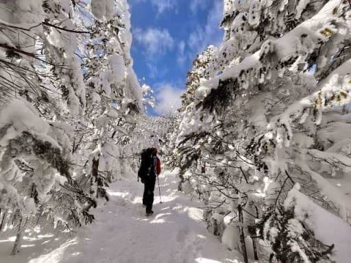 1/11 北横岳 雪山ハイキング