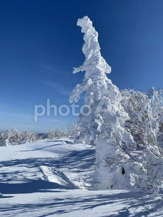 【満員御礼】霧氷とスノーモンスターへ会いに？❄️👾南沢山〜富士見台参考画像:0
