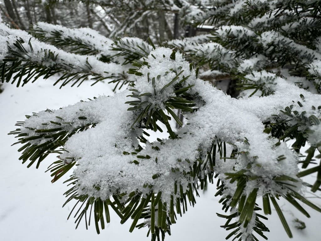【満員御礼】ガトーショコラ【again】❄️黒斑山🏔️参考画像:0