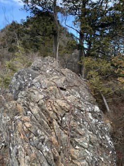 両神山八丁尾根コース登山
