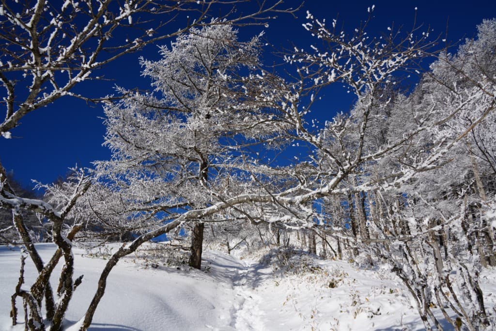 【急募】1/25 雪山登山(雪山初心者歓迎)参考画像:0
