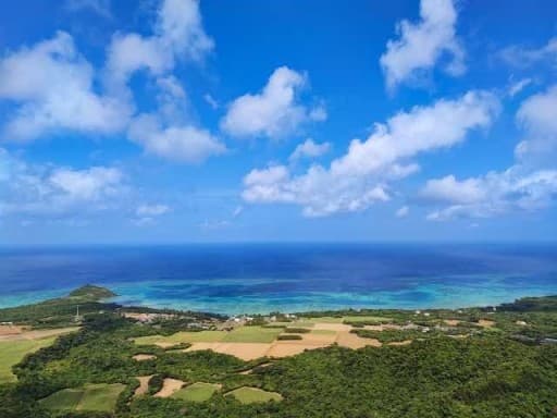 石垣島でハイキングとスキューバダイビング🤿＋竹富島or西表島観光