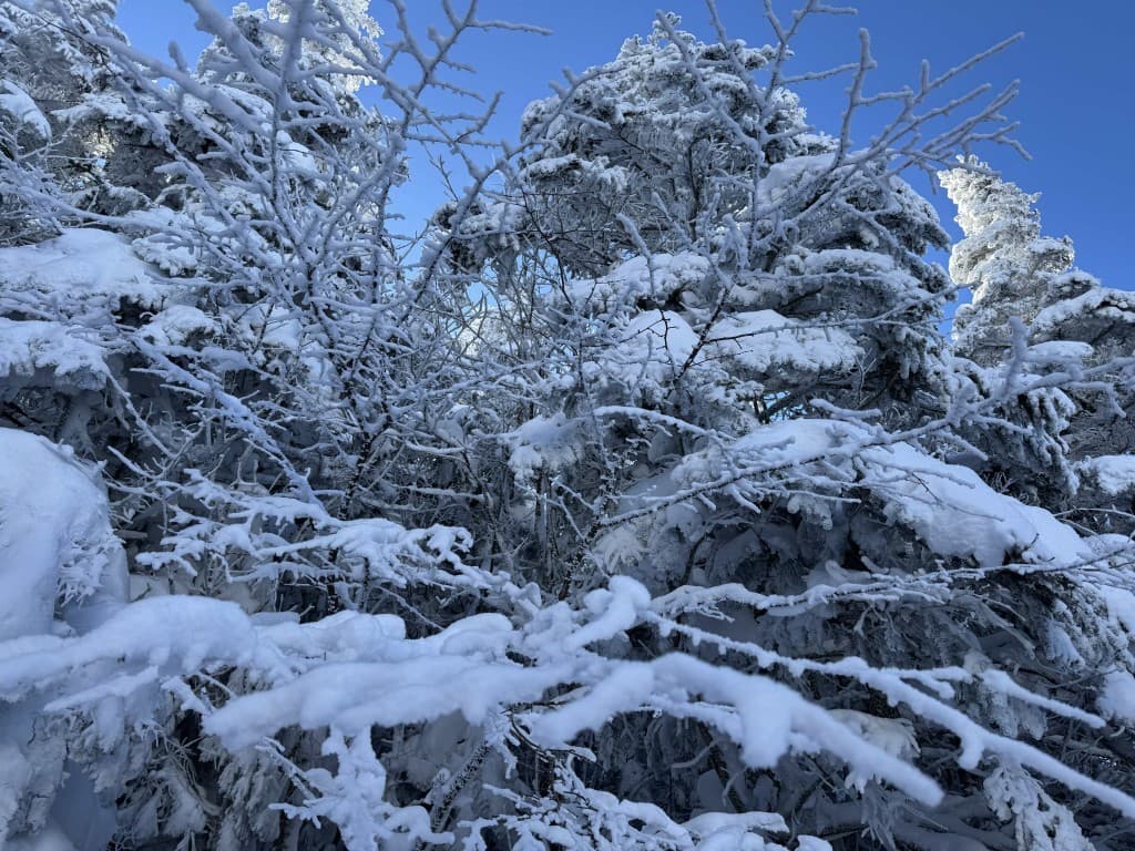 【満員御礼】氷筍を探しに守屋山❄️参考画像:0