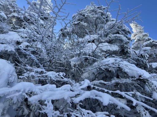 【満員御礼】氷筍を探しに守屋山❄️