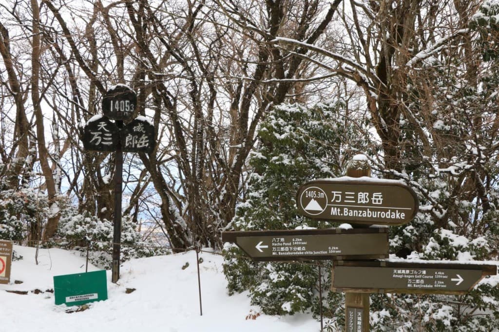 【〆切】1/26（日）天城山参考画像:0