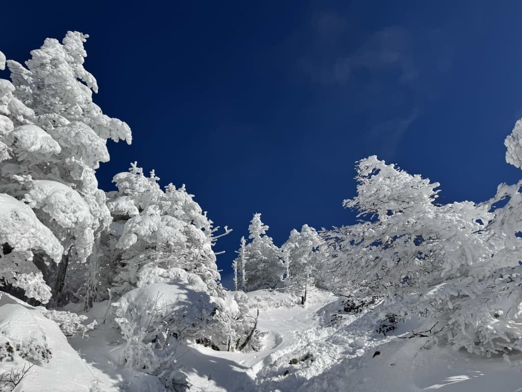 【満員御礼】雪山修行🧘根子岳・四阿山❄️参考画像:0