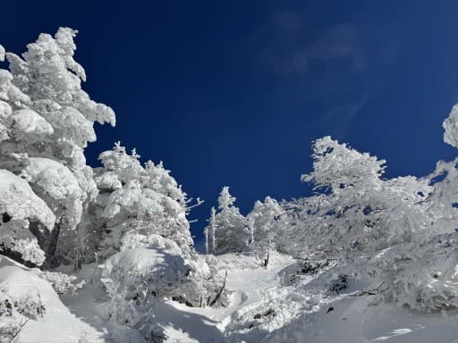 【満員御礼】雪山修行🧘根子岳・四阿山❄️