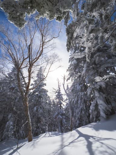 【百名山&雪山】関西発✴︎八経ヶ岳(熊渡から)