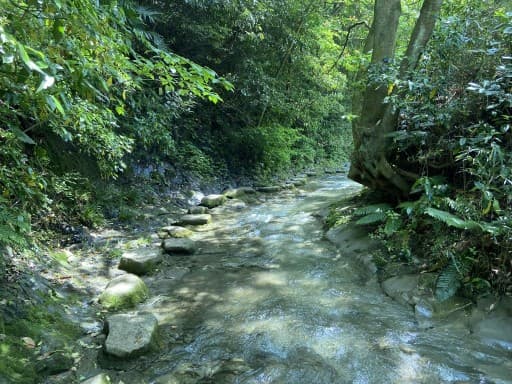 【2/2(日)三浦半島】三浦富士〜大楠山