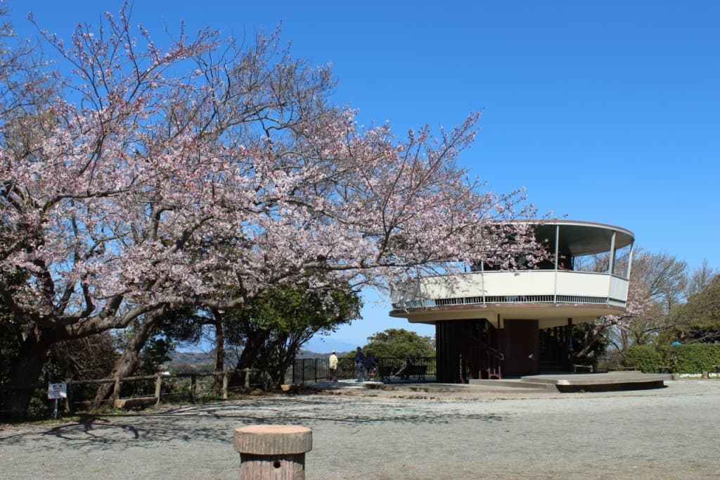 [犬連れ歓迎] 4/12(土) 逗子 披露山ハイキング参考画像:0
