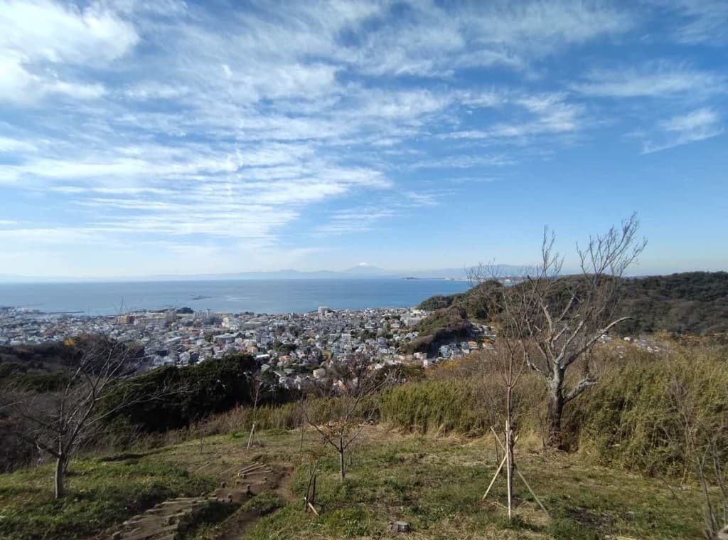 【募集締切ました】2/9（日）三浦アルプス日帰り参考画像:0