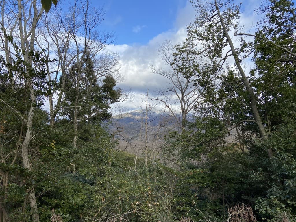 高尾山ハートルート参考画像:0
