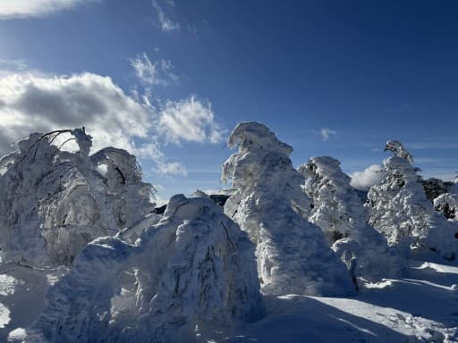 【満員御礼！】雪山スキルアップ❄️⤴️恵那山！