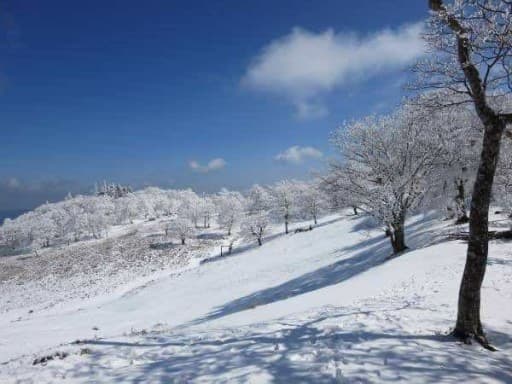 霧氷を見に明神平へ❄️参考画像:1