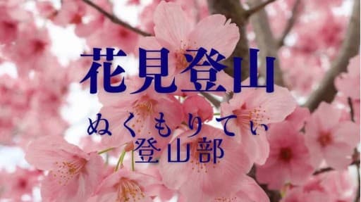 花見登山。🌸咲く山に向かいます！