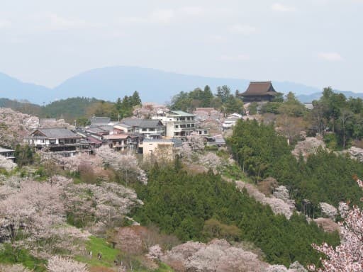 🌸登山仲間募集！お花見ハイキングに行きませんか？🌸参考画像:1