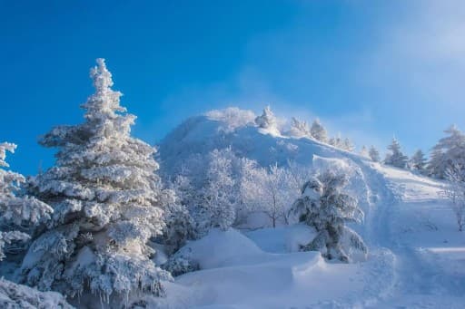 四阿山 3/1(土) 雪山登山の募集 海老名集合