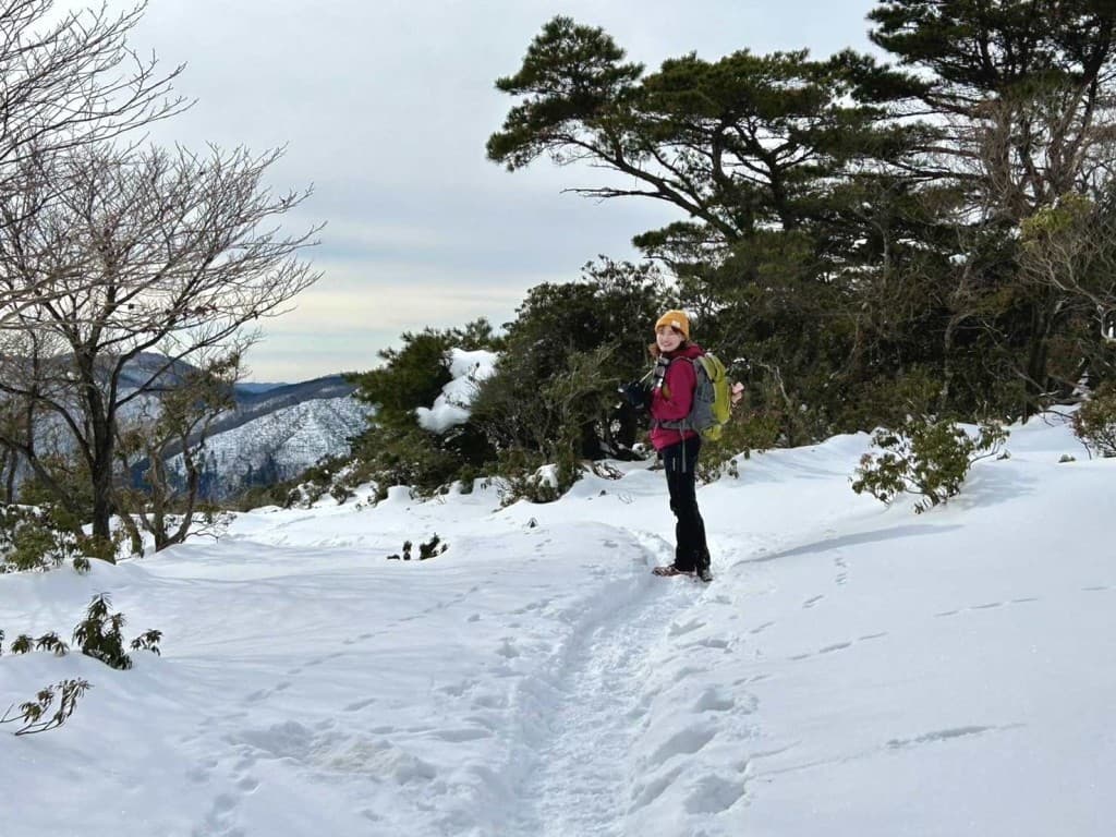 3/1 大阪から赤坂山参考画像:0