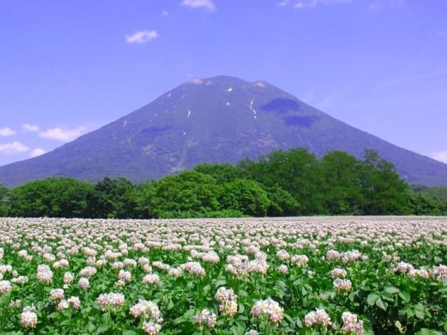 （6月10日頃まで受付）7月24〜27日 百名山２座（幌尻岳、羊蹄山）参考画像:2