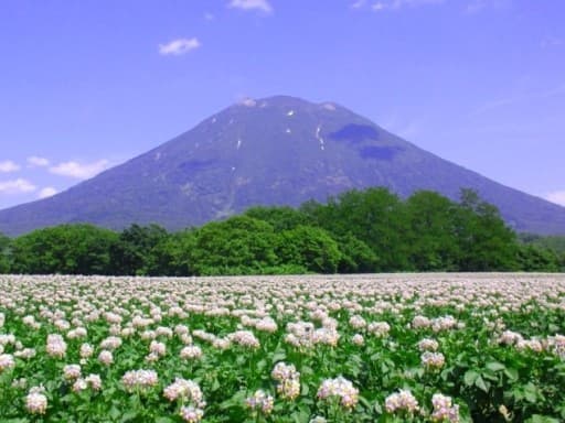 7月24〜27日 百名山２座（幌尻岳、羊蹄山）参考画像:2