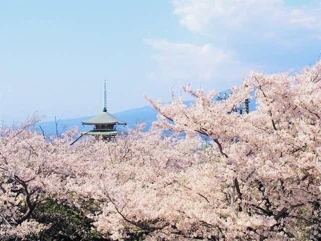 4/12 沼津アルプス 桜ウォーク🌸 春のご当地アルプスハイキング企画 第2弾のご案内参考画像:0