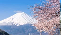 春の残雪富士山に挑戦！