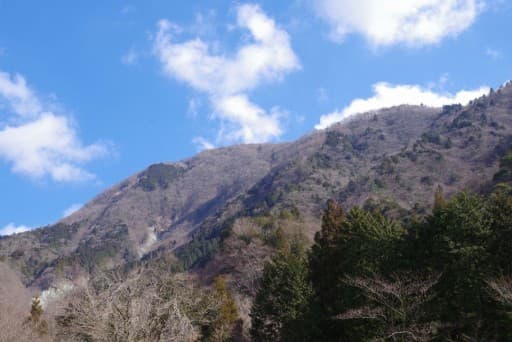 4/12(土) 丹沢鍋割縦走