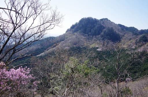 4/12(土) 古賀志山