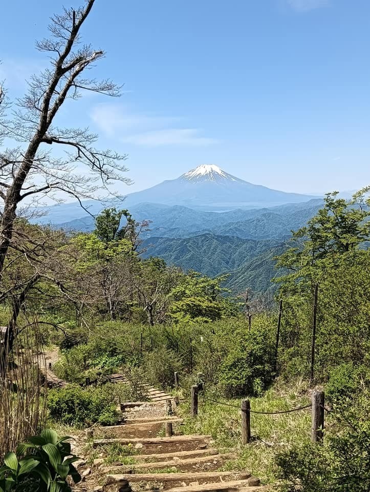 TTY（丹沢 to 山中湖）参考画像:0