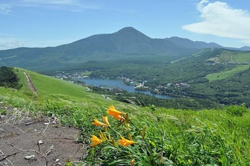 新緑の蓼科山→霧ヶ峰 半縦走