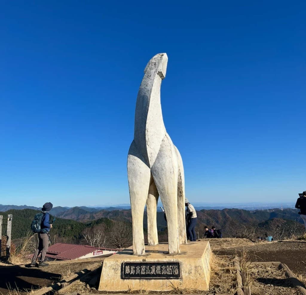 陣馬山〜高尾山　奥高尾縦走コース参考画像:0