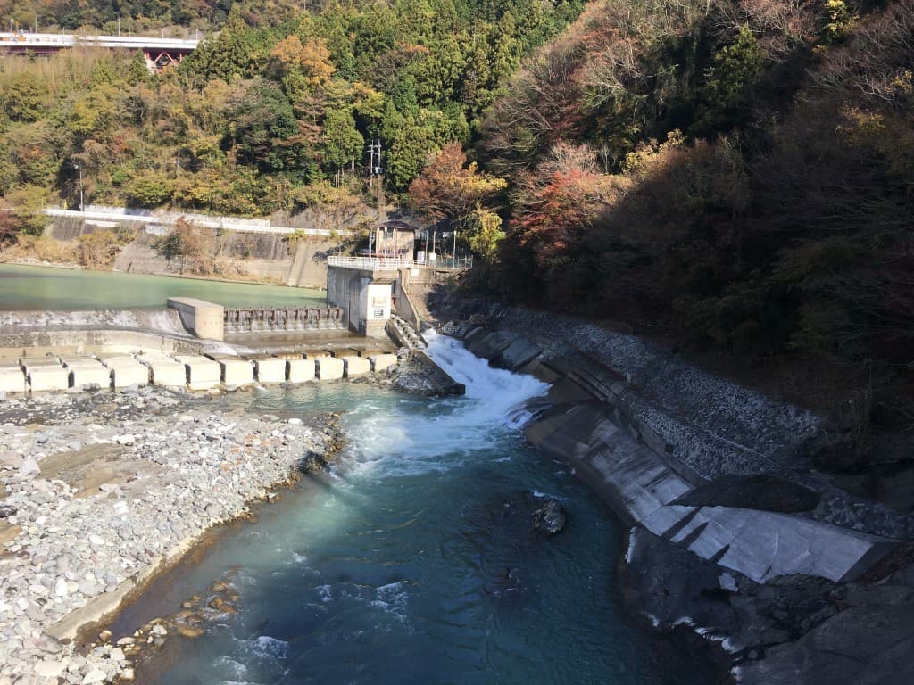 5月7日（水）　やまなみ会　神奈川県　大野山　（簡単コース）参考画像:1