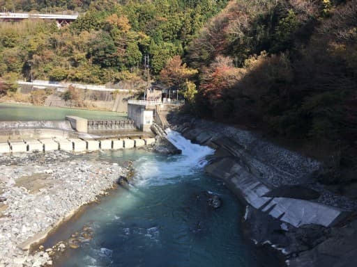 5月7日（水）　やまなみ会　神奈川県　大野山　（簡単コース）参考画像:1