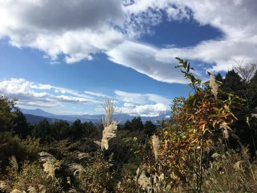 5月7日（水）　やまなみ会　神奈川県　大野山　（簡単コース）参考画像:2