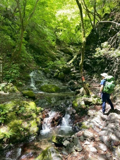6月18日（水）大山　やまなみ会参考画像:0
