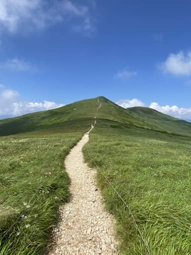 【満員御礼！】美しい稜線歩き⛰️と高山植物🌺白砂山