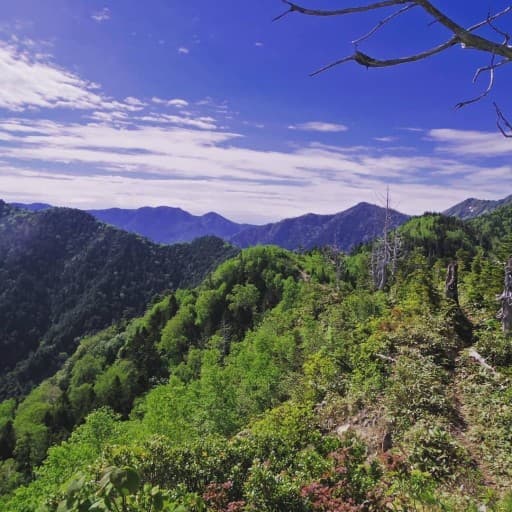 6/7(土)佐武流山：200名山　日帰り