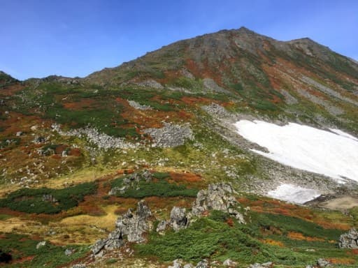 【1名募集】8/30(土)～9/1(月)トムラウシ山、雌阿寒岳
