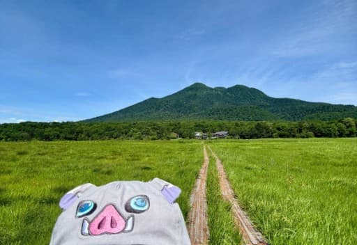 6/6.7(金.土)尾瀬(沼山峠→御池、山ノ鼻幕営)