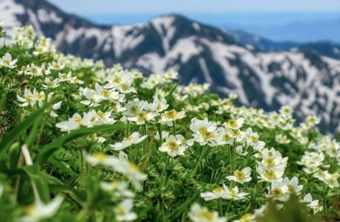 飯豊山参考画像:0
