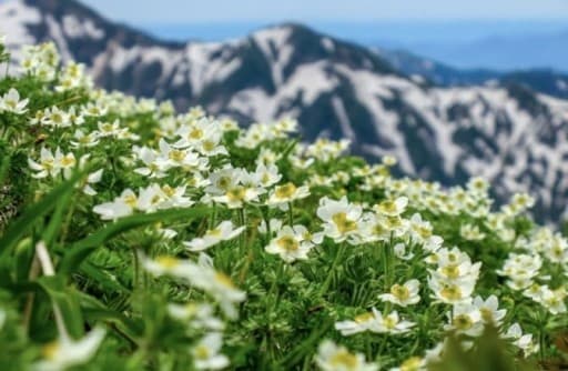 【2名募集】飯豊山
