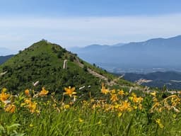 ニッコウキスゲ　ゆる山　飯盛山
