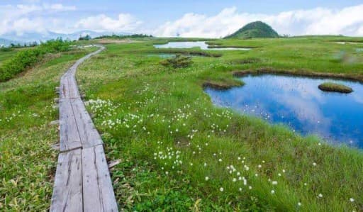 7/5(土) 苗場山