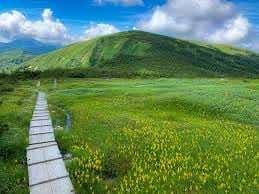 7/19（土）平ヶ岳【金曜夜発】参考画像:0