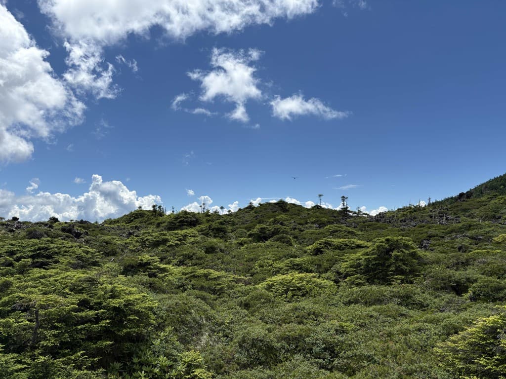 焼石岳(岩手県) 8/10に変更しました参考画像:0