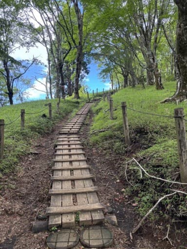 【8/2 日向薬師側から大山登山🏔️】