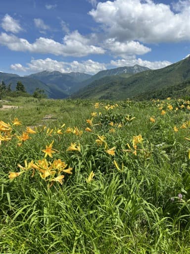 新穂高温泉登山口まで