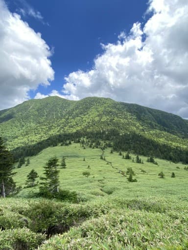 【満員御礼！】急遽思い付きの根子岳・四阿山🐮