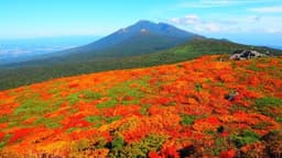 10/11 八幡平・秋田駒、10/12 早池峰・姫神、10/13 大朝日岳