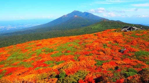 10/11-12 紅葉の八幡平,早池峰山と 10/13大朝日岳